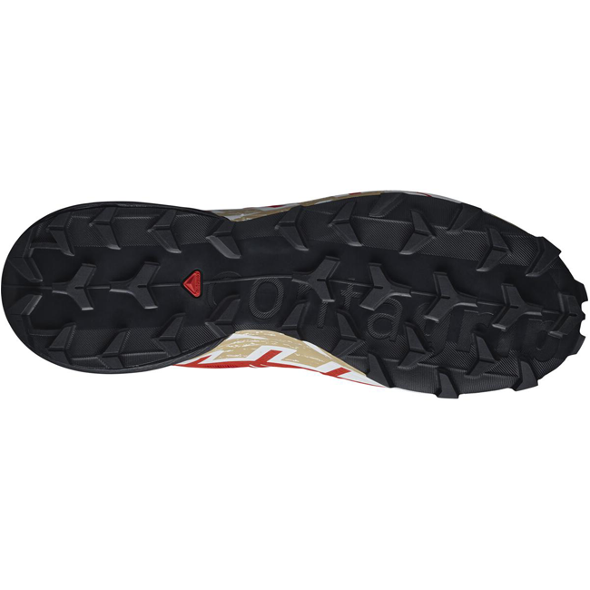 Salomon Men's Speedcross 6